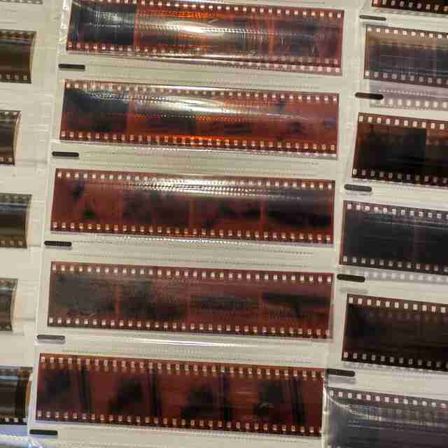 Camera Picture 3