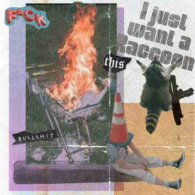 Raccoon