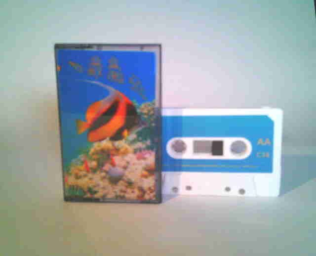 海洋探査