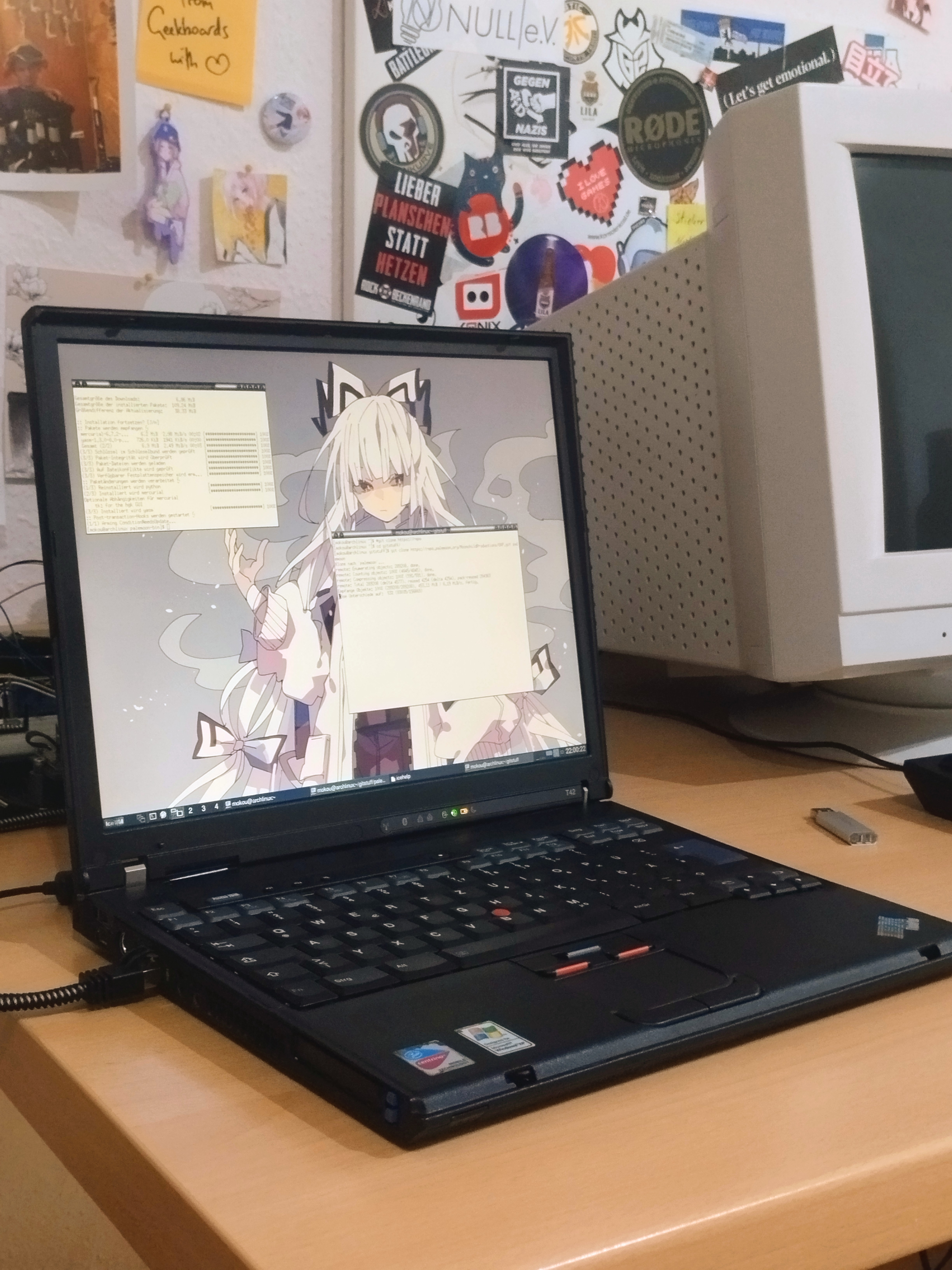 Thinkpad with Arch Linux